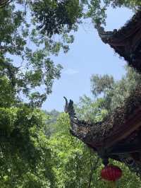 成都仙家重地！見到這隻鶴才算真正去過成都鶴鳴山