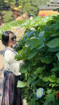 泰順最新自駕網紅打卡地、筱村公社最值票價的人像拍照景點