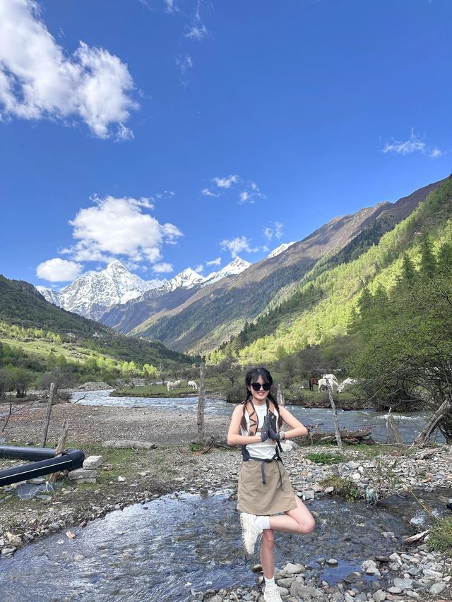 草綠了已經綠了！6-8，四姑娘山即將迎來高光時刻