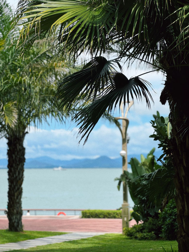 深圳4天3晚怎麼玩？