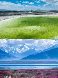 驚了！青海這些景點你一定不能錯過