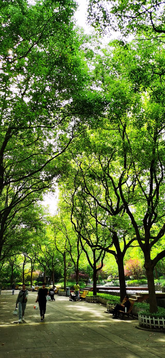 長壽公園：普陀人家門口的“清涼世界”