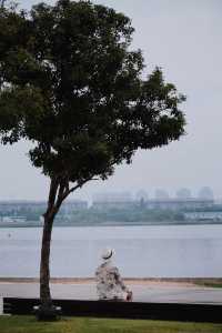 鄭州東區的公園，藏了一片海！