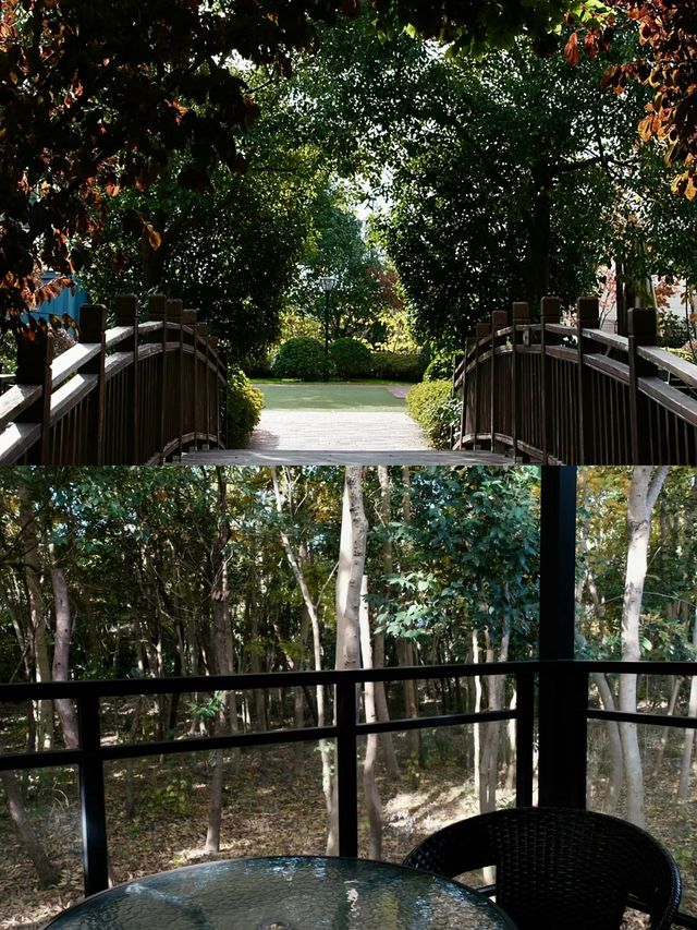 吃喝雜物-上海鄰家露營地