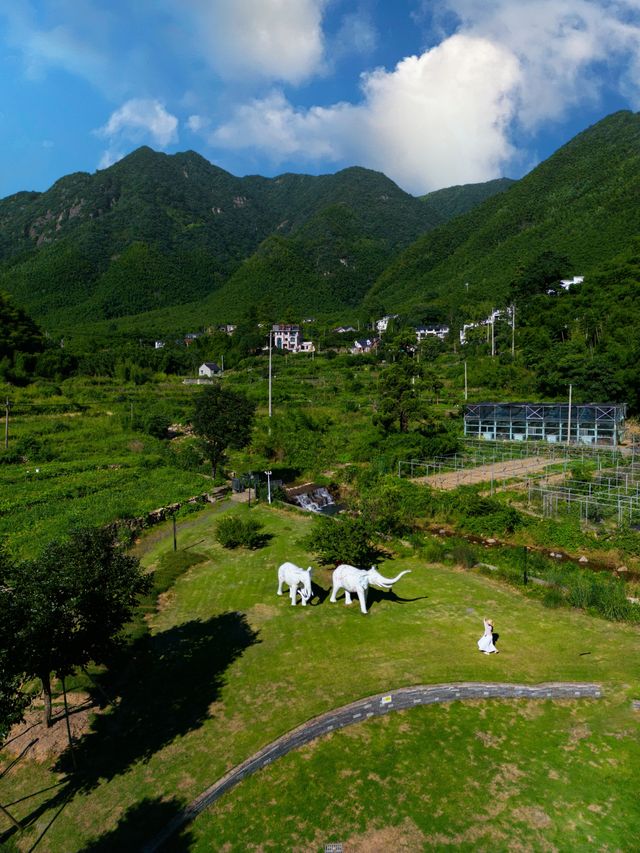 不在雲南真的在安吉發朋友圈被問瘋了