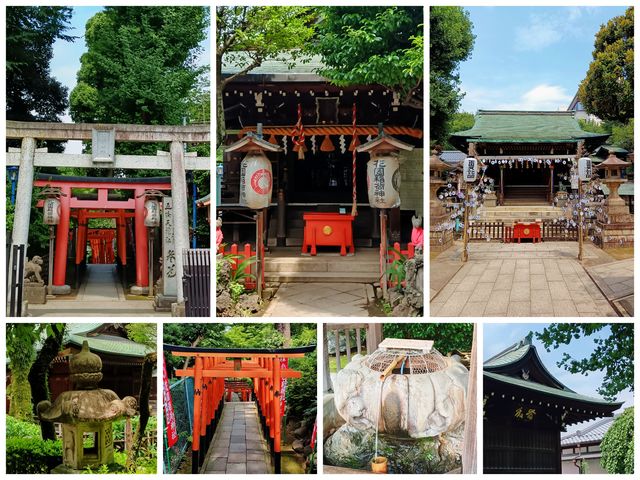 上野公園—日本的第一座公園，除了櫻花還有人文