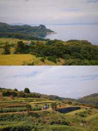 瀨戶內海巡遊記：處處給人驚喜的豐島
