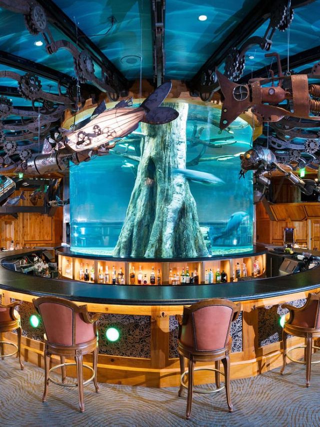 🌟 Memphis Marvels: Big Cypress Lodge Stay! 🌲🛌