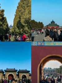 A Sunny Spring Morning at Temple of Heaven 🇨🇳