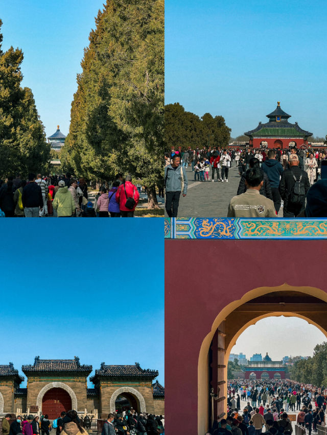 A Sunny Spring Morning at Temple of Heaven 🇨🇳