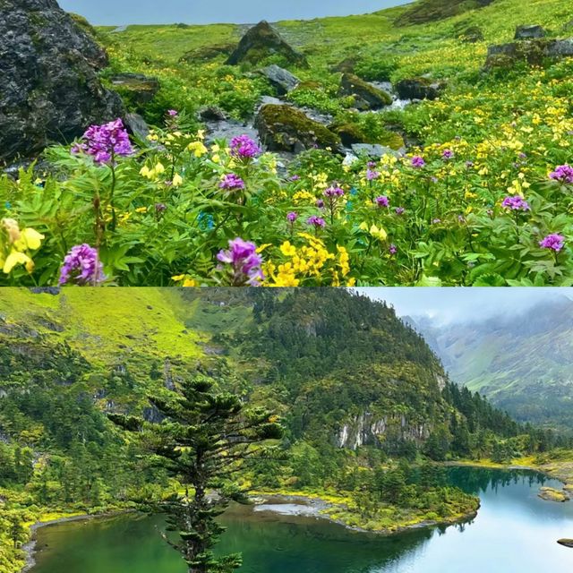 不是冰島！不是挪威！是我們中國的南極洛||-