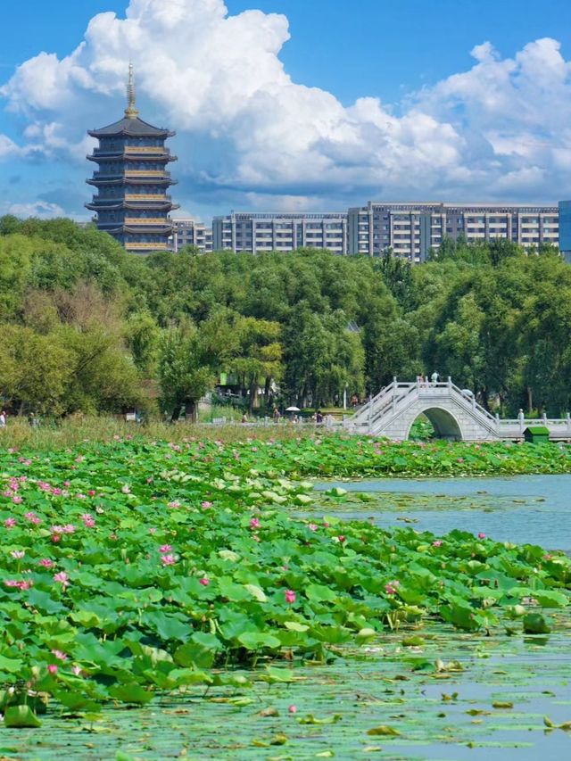 都以為我去了蘇杭，沒想到竟是吉林長春
