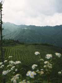 20 pictures cannot fully capture the beauty of the cloud-covered Yongzhou ☁ You've hidden yourself too well!
