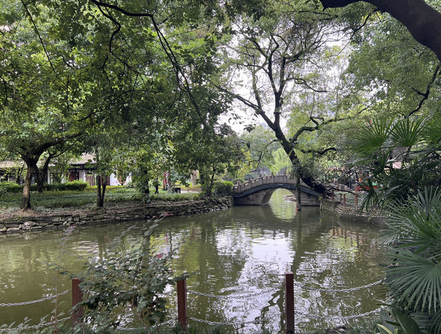 成都的"人民公園"充滿濃厚的市井氣息!