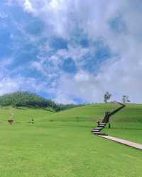 關山草原一日遊，體驗大自然風光。