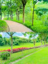 深圳可以野外奔跑嘅公園。