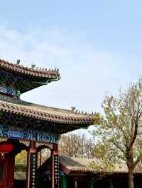 天津媽祖文化園｜0元欣賞海景公園超震撼。
