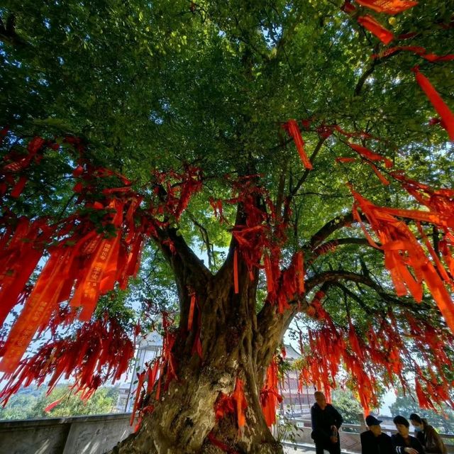 探尋禪宗聖地五祖寺：歷史韻味與禪意生活的完美融合