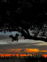 Sydney people love to watch sunsets