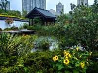 蛻變——和平公園。