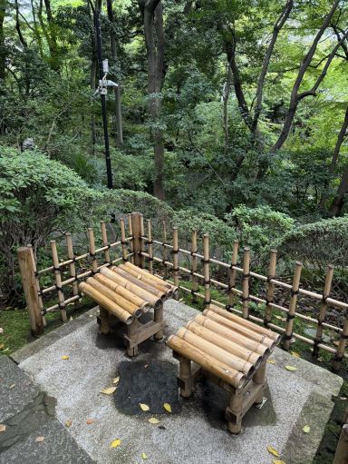 🇯🇵 Nezu Museum: A Quiet Art Treasure in Tokyo | Trip.com Tokyo