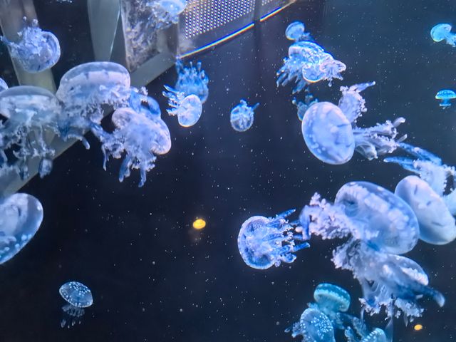 海南三亞 | 這裡的風和海都是自由的。