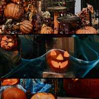 Spooky Halloween Attractions In the Haunted house