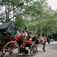 Central park Tour New york