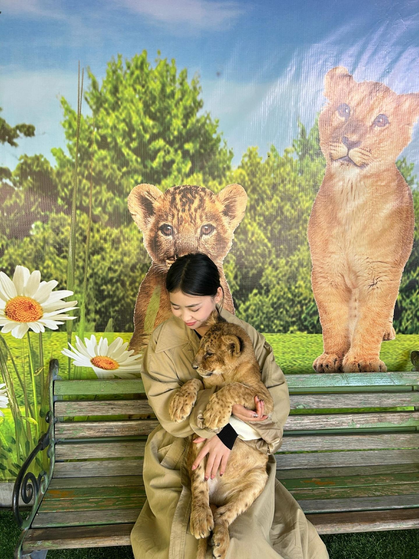 1-hour trip around Qingdao~ The baby lion is so cute. 