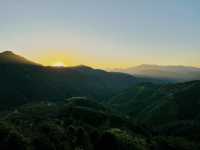 開車兩小時也要看的夕陽，在這座茶山。
