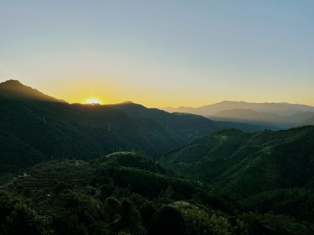 開車兩小時也要看的夕陽，在這座茶山。