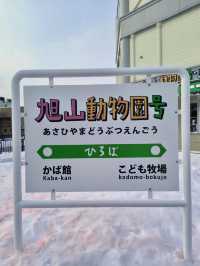 ❄️ 旭山動物園：冬日里的極地動物世界