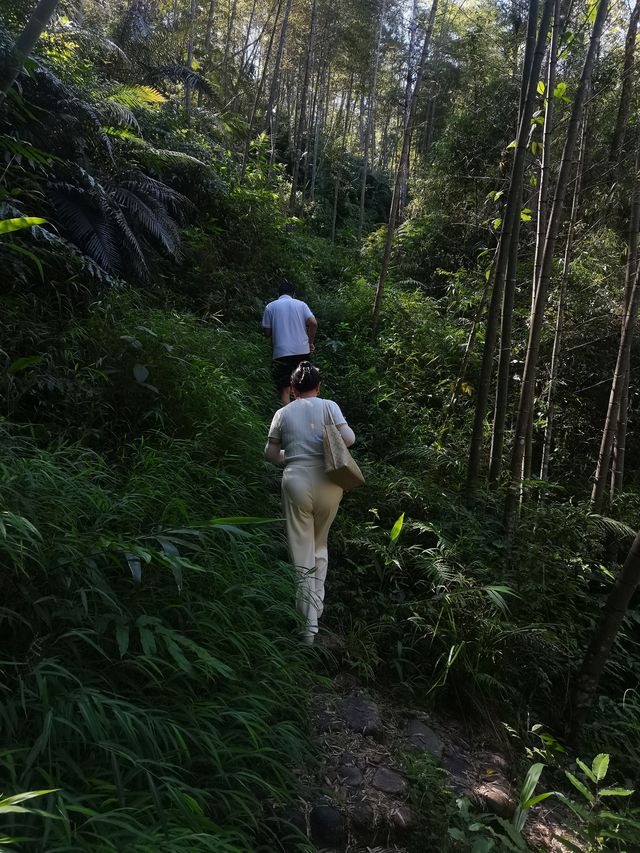 南昆山真是惠州的避暑勝地。