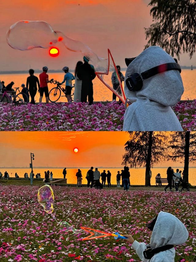 答應我！一定要去上海後花園阿勒泰！附路線哦！。