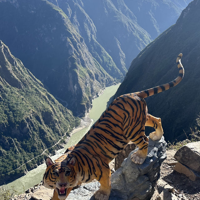 Wow Tiger Leaping Gorge possibly best hike I’ve ever done!!!!