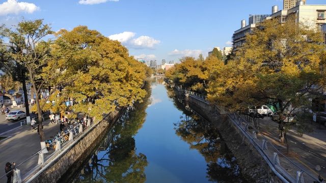 大觀河畔邂逅一座拱橋和一場秋季美景。