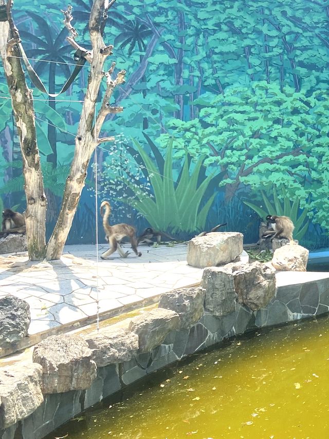 日本°東京ㅣ親子免費近郊好去處ㅣ江戶川區自然動物園。