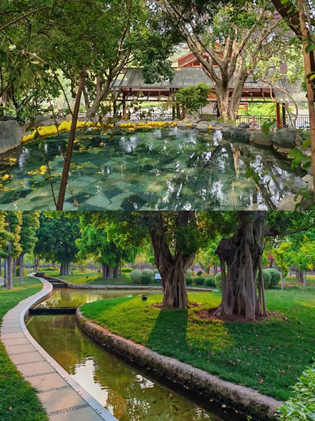 Honghe Prefecture Mile City | Lake Spring Half-Mountain Hot Spring Guide