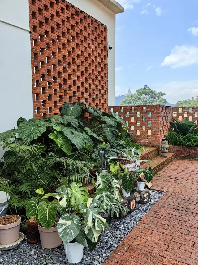 โฮมสเตย์ Rikosan Shasha