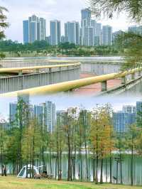 在廣州，離地鐵200米的大草坪沿湖碧道！