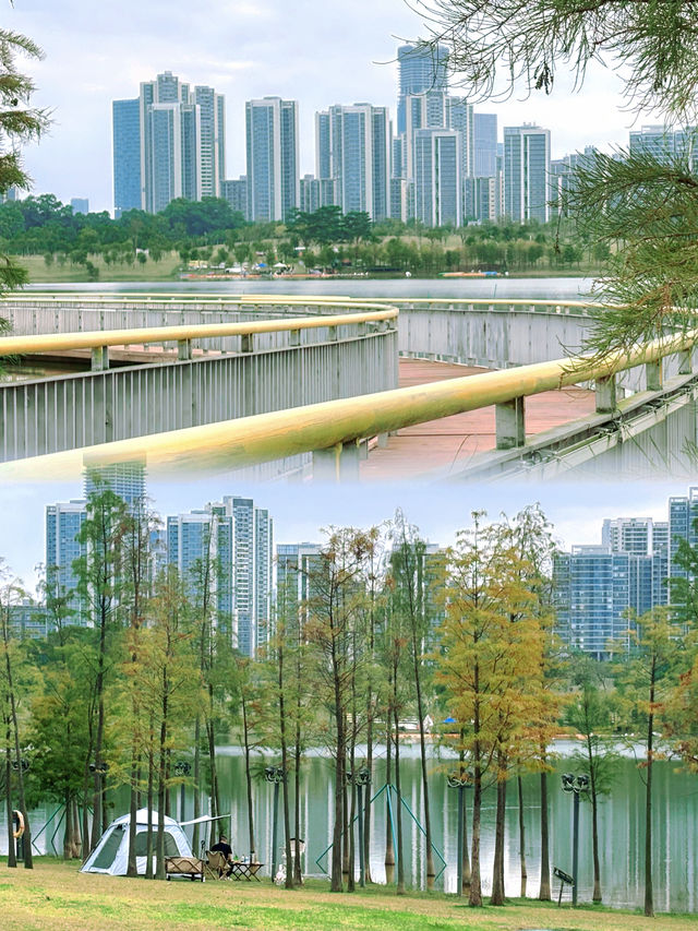 在廣州，離地鐵200米的大草坪沿湖碧道！