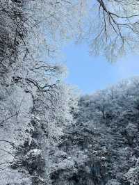 頭一回見：爬山還可以坐電梯｜郴州宜章莽山。