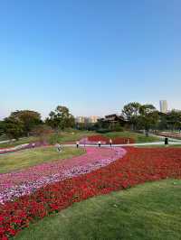 深圳桂灣公園｜人少巨舒服，宮崎駿漫畫公園花又開了！