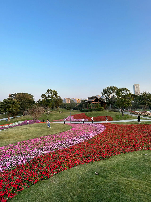 深圳桂灣公園｜人少巨舒服，宮崎駿漫畫公園花又開了！