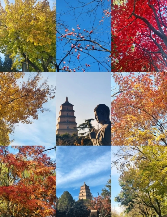 探訪歷史的寧靜——唐大慈恩寺遺址公園遊記｜Trip.com 西安