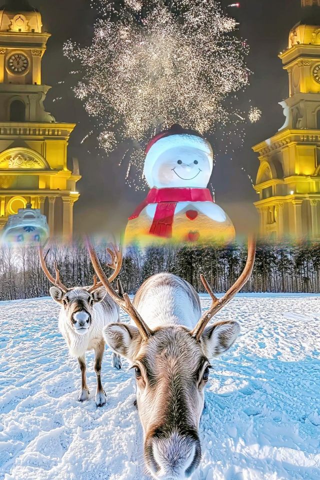 冰雪大世界  最新攻略  教你把票價玩回來
