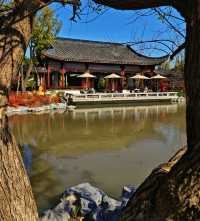 打卡濱江森林公園滈園