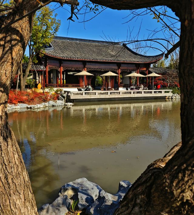 打卡濱江森林公園滈園