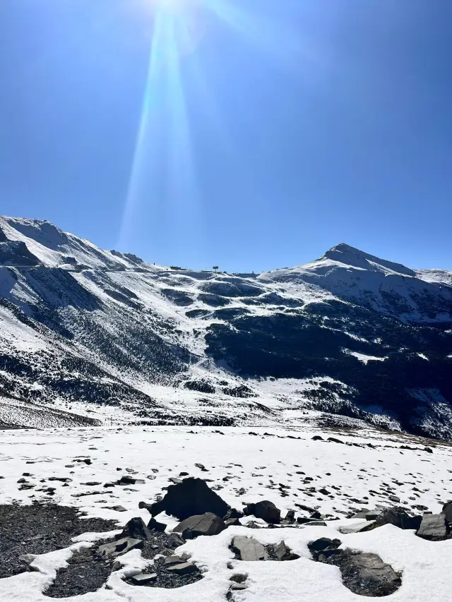 Jiajin Mountain Forest Park | Ya'an | Winter Wonderland