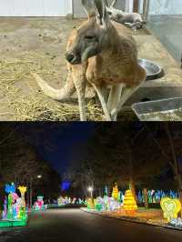 長春動植物公園夜遊，夢回西遊奇幻之旅！